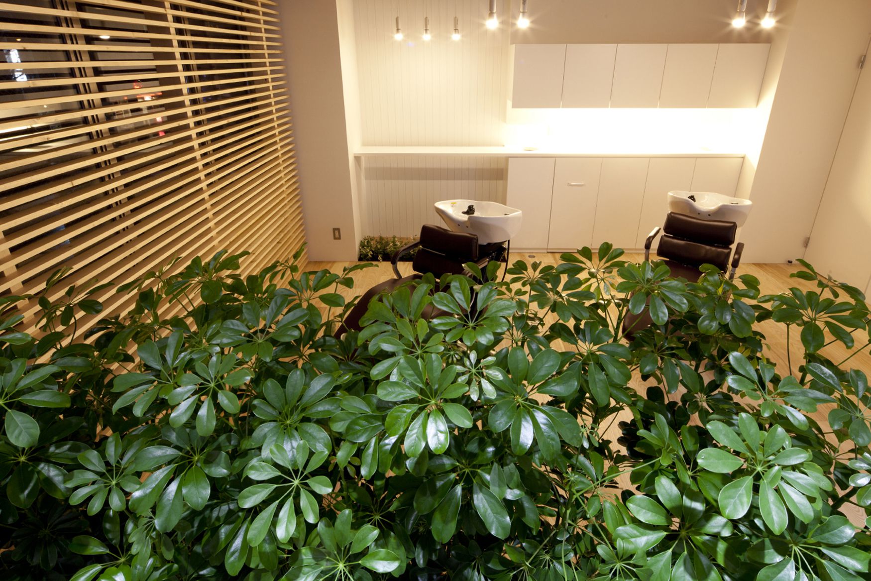 室内に生い茂る植物が非日常とリラクゼーションを感じる美容室